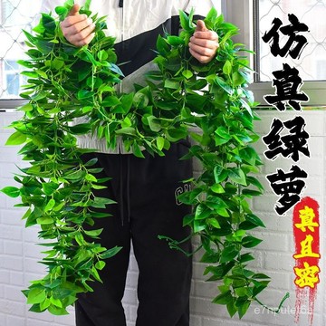 ✨臺灣嚴選好物✨仿真藤條綠蘿葉塑料假花裝飾室內綠藤蔓植物假樹葉壁掛遮擋綠葉子 G29Z