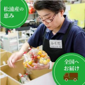 ふるさと納税 道の駅松浦海のふるさと館『旬のお野菜＋産みたて濃厚玉子6個』の大満足セット！ 長崎県松浦市