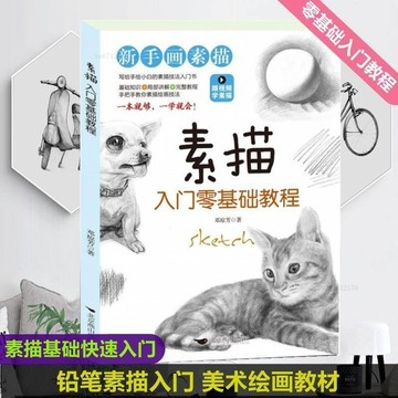 新手畫素描入門零基礎教程跟視頻學素描從零起步學素描入門自學