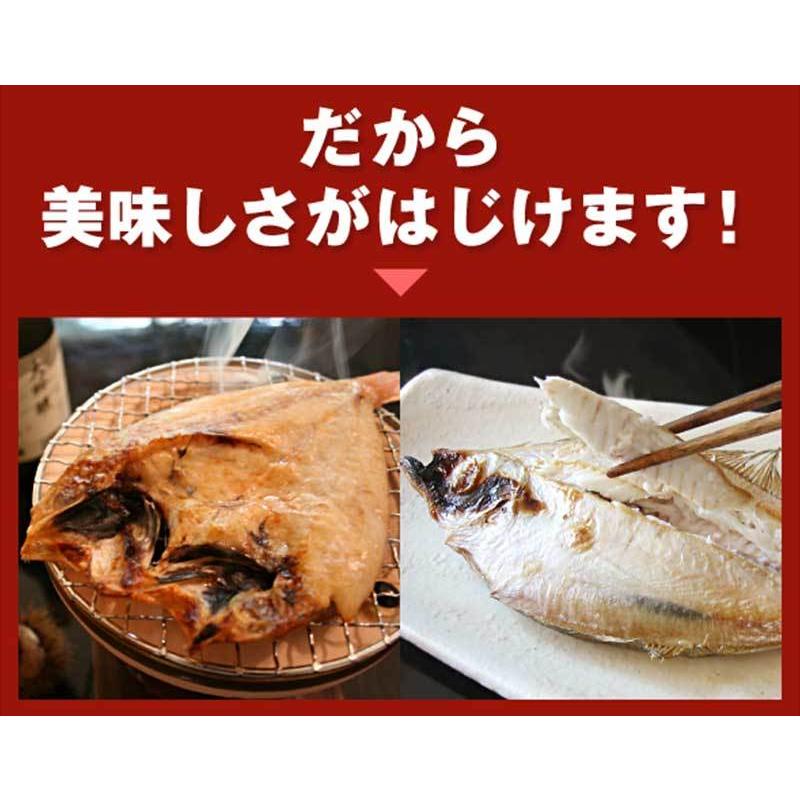 「島根県沖」ひもの 大黒 岡富商店 あじ エテかれい のどぐろ 島根県 人気 魚介類 一夜干し