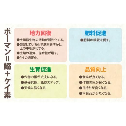 ふるさと納税 福井県 あわら市 《定期便6回》特別栽培米 コシヒカリ 5kg × 6回 （計30kg） 無洗米 低農薬 ／ 福井県 あわら市 ブランド米 白米 …