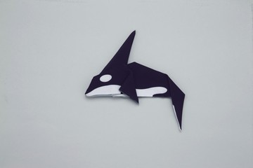 Peti Peto 形狀記憶擦拭布 虎鯨