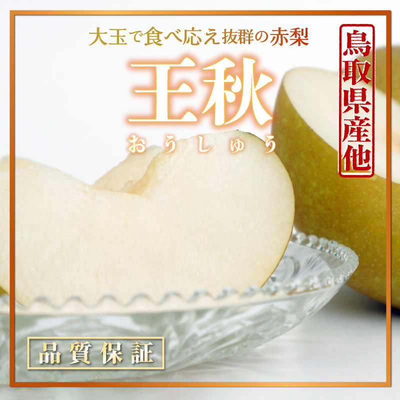 [予約 2023年11月1日-11月30日の納品] 王秋 梨 約2kg 2-5玉 鳥取 福島産ほか 初冬 糖度約12度 和梨 冬ギフト お歳暮 御歳暮