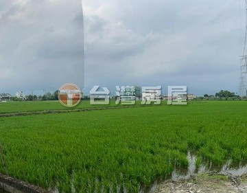 近安農溪泛舟/低於公告現值/足坪剛剛好發財農地｜宜蘭縣三星鄉新石圍段