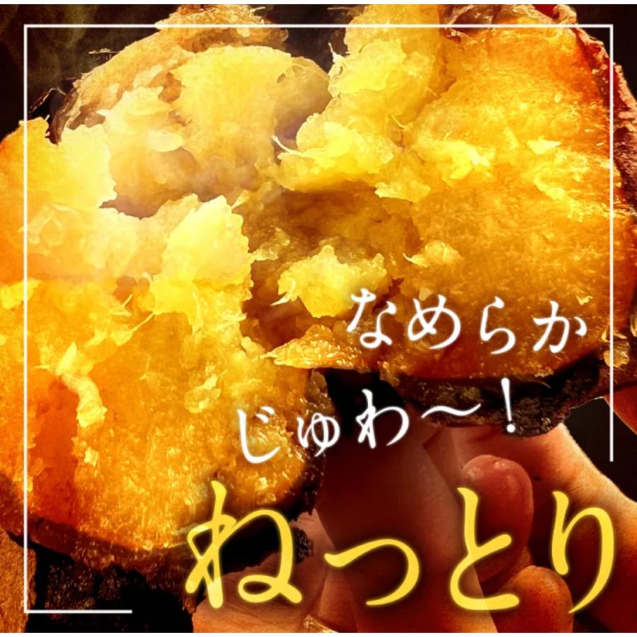 焼き芋 冷凍焼き芋 1kg  蜜芋 国産 紅はるか しっとり もっちり モッチリ ホクホク 甘い 焼き芋 冷凍 スイーツ