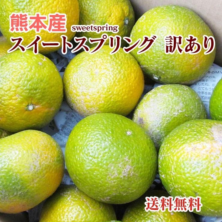 スイートスプリング 熊本産 訳あり １０kg  送料無料   九州 熊本 みかん オレンジ 甘い スイート スプリング