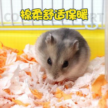 【小寵低塵紙棉-450g/包-多款可選-1款/組】吸水吸尿除臭墊料紙屑代替木屑倉鼠用品-7909001