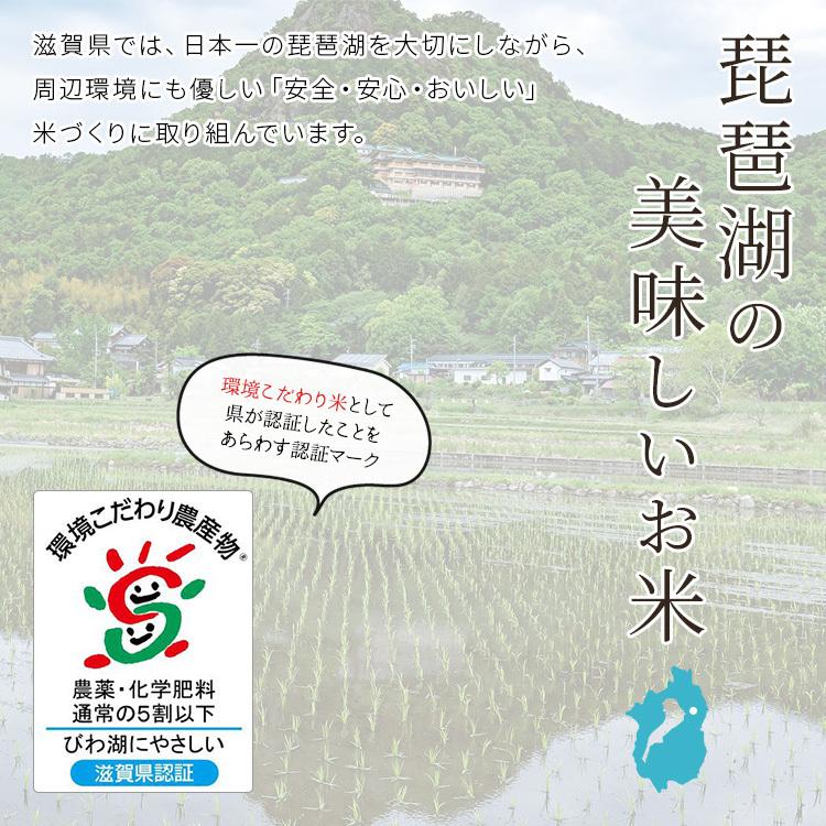 米 秋の詩 10kg 令和5年 米 送料無料 お米 玄米 白米 精米無料 農家直送 近江米 滋賀県産 特別栽培米