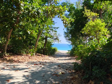 新城草林段已申請露營地靠海農地｜花蓮縣新城鄉草林段