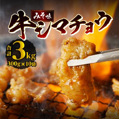 ふるさと納税 滝川市 居酒屋さ蔵 牛シマチョウ300g×10袋