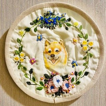 Hello Shiba