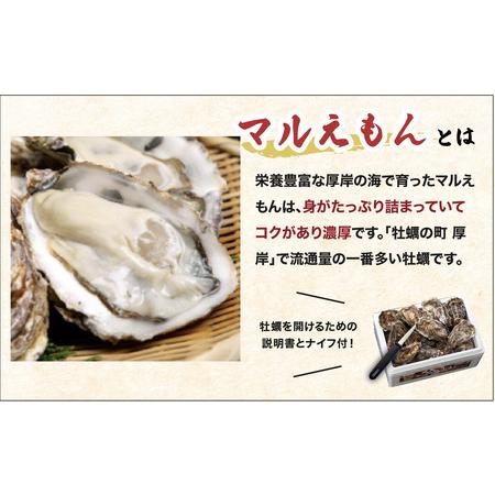 ふるさと納税 北海道厚岸産 牡蠣 Lサイズ 1ダース（12個入り） 生食用 北海道厚岸町