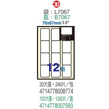 【文具通】B7067磁片標籤70x67mm(12格]105 ASB7067【APP滿額下單4%點數(單一帳號最高1000點)】7/31止