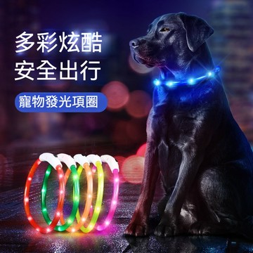 【隔日達現貨】寵物LED發光項圈 狗狗項圈 寵物夜光項圈 夜間項圈 LED項圈 頸圈 防走失 夜間遛狗 螢光項圈 狗項圈