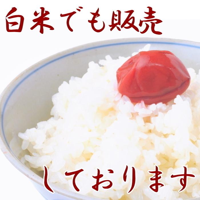 令和５年 お米 送料無料 ひとめぼれ 玄米 ３合(約４５０ｇ) 岩手県産  安い 美味しい