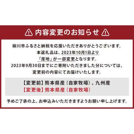 ふるさと納税 数量限定 増量！！ 自家牧場産 黒毛和牛 ヒレステーキ 700g 手作り 和風ソース 付き 福岡県柳川市