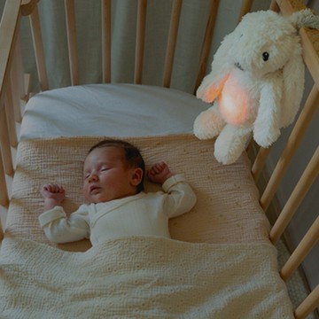 ZAZU 荷蘭 聲控感應安撫小夜燈/音樂鈴 睡兔好朋友系列 多款可選