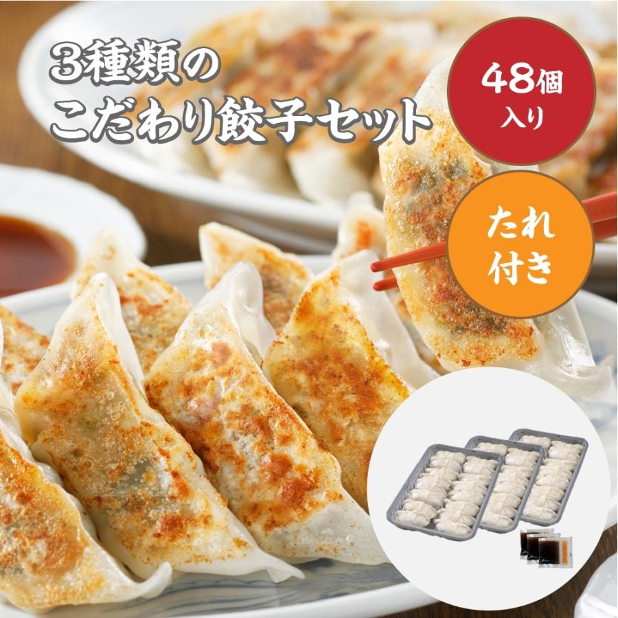 3種類のこだわり餃子セット　16個×3袋　醤油たれ×３袋　 タレ付き　送料無料　冷凍便