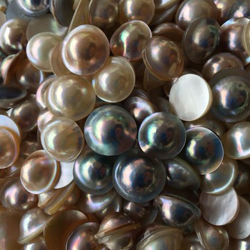 16-19mm帽子形馬貝珍珠香檳金色白色藍色馬貝戒指耳環吊墜