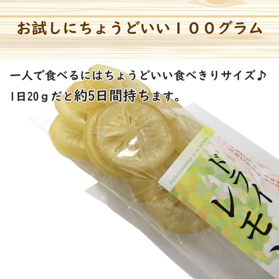 大地の生菓  ドライフルーツ ドライレモン 100g 送料無料 お試し 製菓材料 フルーツティー 紅茶 非常食 クリスマス ギフト プレゼント 2023