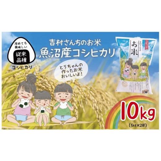 ふるさと納税 新潟県 十日町市 ｜従来品種｜ 魚沼産 コシヒカリ 5kg ×2袋 計10kg 米 こしひかり お米 コメ 新潟 魚沼 魚沼産 白米 送料無料 新潟県産 精米 産…