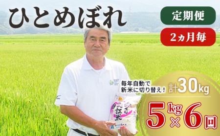 米 定期便 5kg 6ヶ月 令和5年 ひとめぼれ 5kg×6回 計30kg 2ヶ月毎 隔月 精米 白米 ※毎年11月より新米