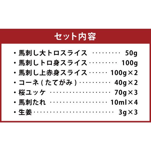 ふるさと納税 熊本県 水俣市 馬刺し 詰合せ 「宴」 計640g 馬肉 大トロ トロ 赤身 たてがみ 桜ユッケ たれ 生姜