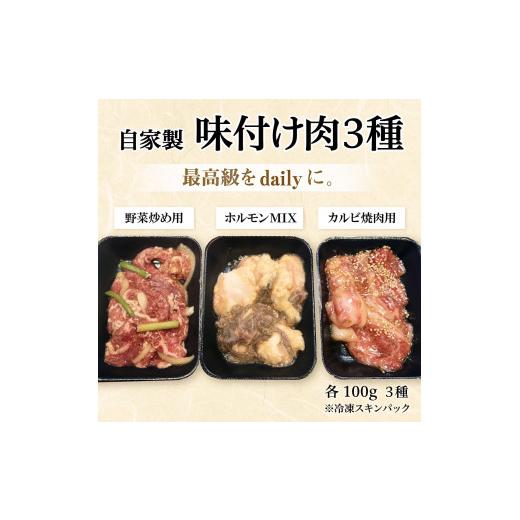 ふるさと納税 兵庫県 西脇市 焼き肉用 味付け肉 3種 計300g（100g×3種） 川岸畜産(09-27)