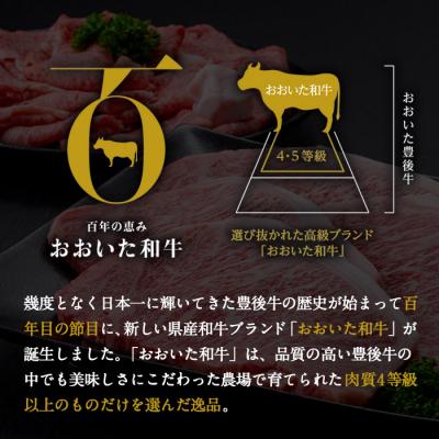 ふるさと納税 佐伯市 おおいた和牛 すき焼き用 モモ肉 (600g)