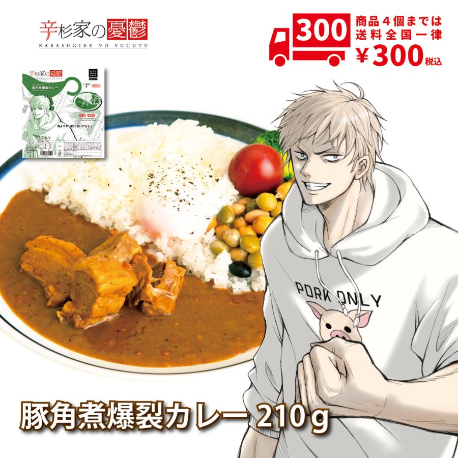 激辛 カレー 辛杉家の憂鬱「辛杉シゲキ」豚角煮爆裂カレー 超激辛 レトルトカレー