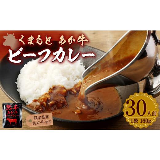 ふるさと納税 熊本県 宇城市 熊本県産あか牛使用 くまもとあか牛 ビーフカレー 30人前 カレー あか牛