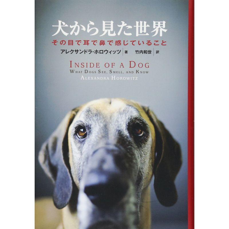 犬から見た世界 その目で耳で鼻で感じていること