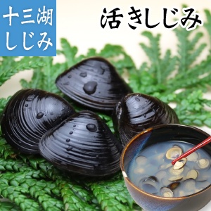 青森県十三湖 しじみ貝(活) 中粒 2kg