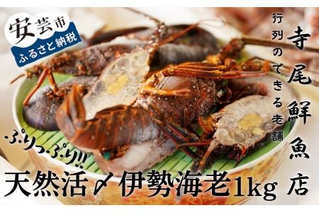 天然活〆伊勢海老1kg(冷凍)