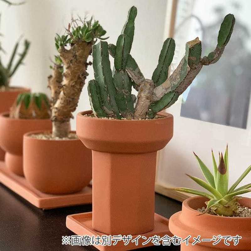 植木鉢 テラコッタ 鉢 プランター ポット パイプ ダルトン 植木鉢 テラコッタ 鉢 プランター ポット パイプ ダルトン