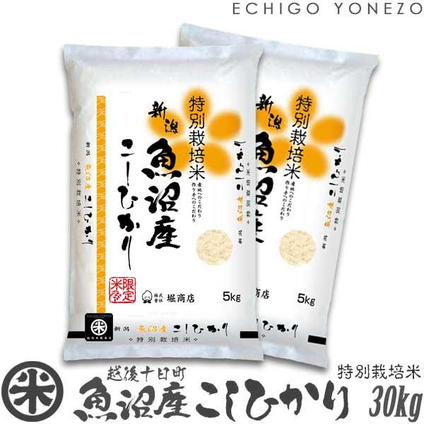 [新米 令和5年産] 魚沼 十日町産コシヒカリ 特別栽培米 白米 30kg (5kg×6袋) 契約栽培 こしひかり 送料無料 ギフト対応