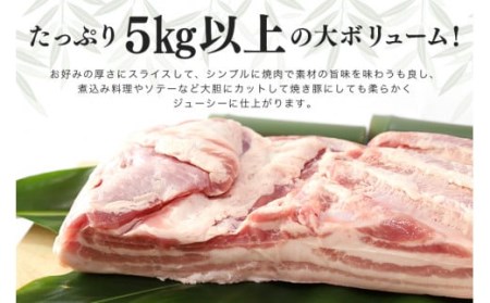 ブランド豚「ばんぶぅ」豚バラブロック1本 ばんぶぅ 豚肉 豚バラ肉 ブロック肉 しゃぶしゃぶ 焼き肉 豚バラ 真空パック しゃぶしゃぶ肉 焼肉用 ブタ肉 国産 茨城県産 ギフト プレゼント 冷蔵 高級部位 ブランド豚 ４２－Ｄ