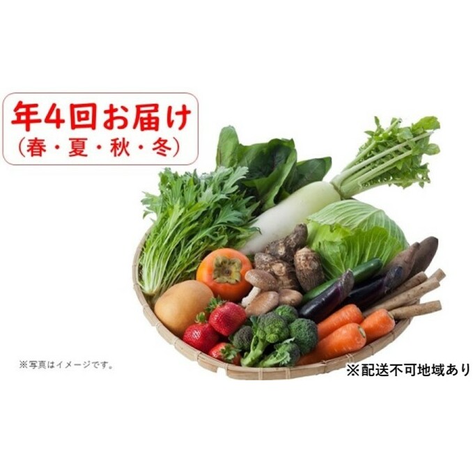 定期便 野菜セット 年4回 春夏秋冬 おまかせ 10～15種 旬 朝倉市産 配送不可 離島