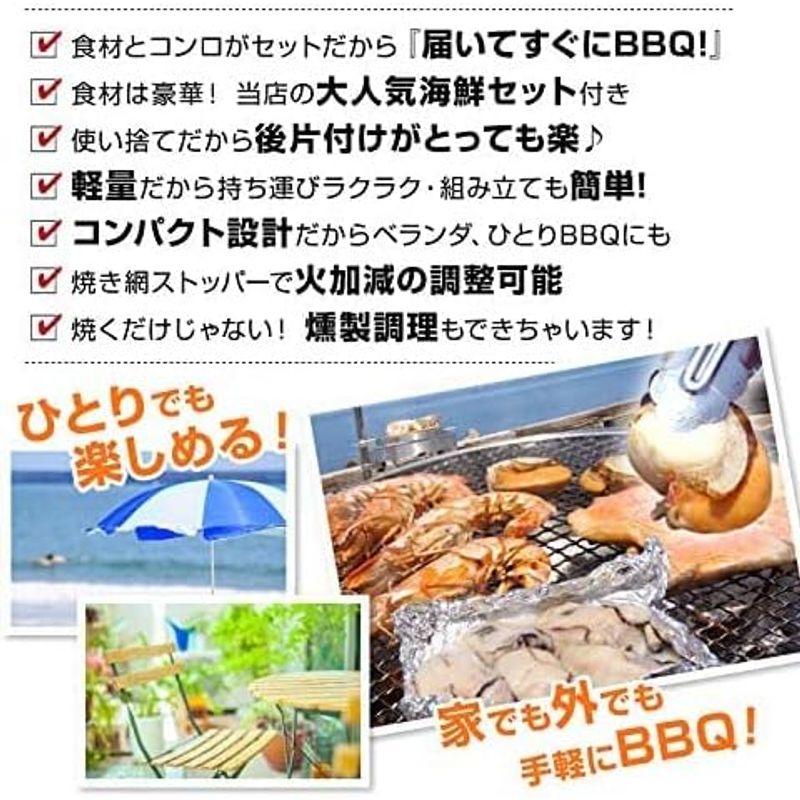 冷凍の海鮮セット 越前宝や 海鮮 セット 6種11品 バーベキュー コンロ 付  洗うものがないんです かき えび ほたて さざえ いか はまぐり 冷凍