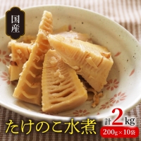 国産 たけのこ 水煮 200g×10 計2kg　N067-ZA397