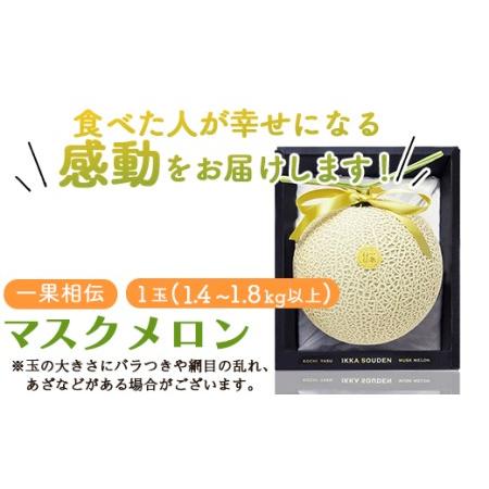 ふるさと納税 一果相伝マスクメロン1玉入り フルーツ メロン 果物 デザート tn-0010 高知県香南市