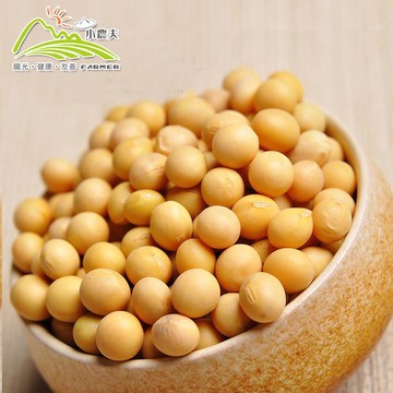 【小農夫】高雄選10號-國產非基改黃豆5包組(500g/包)(下單後7個工作天出貨)