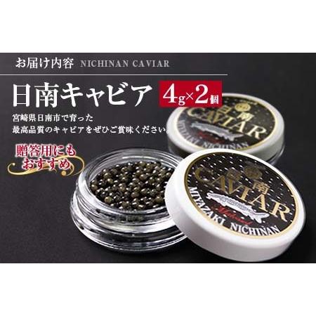 ふるさと納税 日南CAVIAR「キャビア」計8g(4g×2個)　魚　魚介　国産 BB19-191 宮崎県日南市