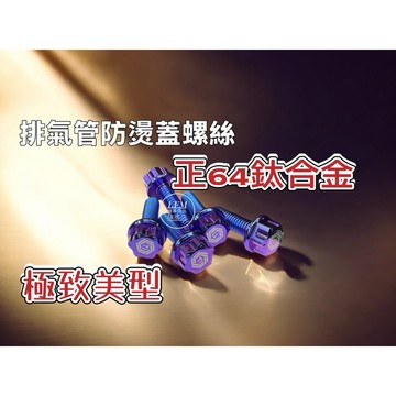 【LFM】曼巴 DRG2 DRG MMBCU SL SL158 正鈦螺絲 排氣管防燙蓋 TiONL 正64鈦合金 護片