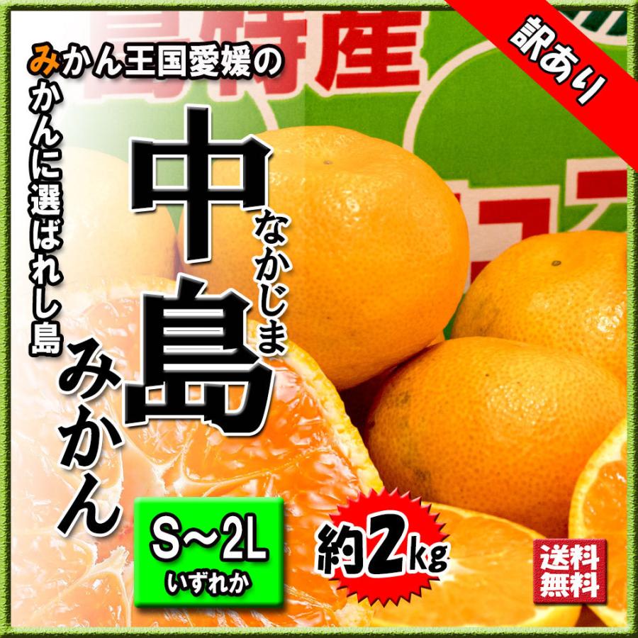 みかん 箱買い 中島みかん 訳あり 中島 訳ありみかん 愛媛みかん 送料無料 約2ｋｇ S〜2L いずれか 温州みかん