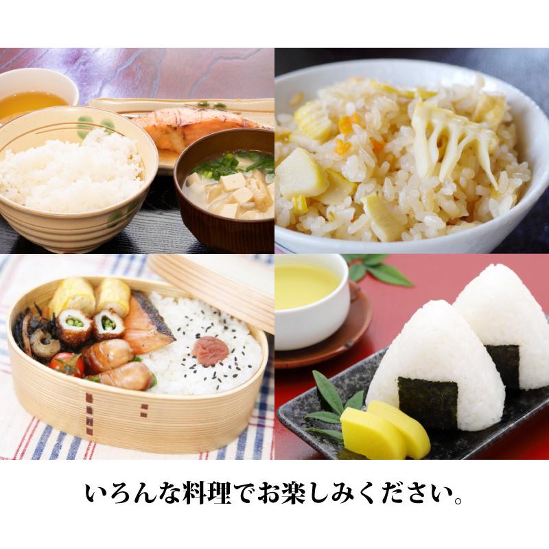 令和５年産 福井県産コシヒカリ 10kg 白米 安い ５kg×２ 単一原料米 送料無料