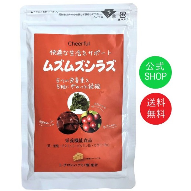 70％OFF】 アサヒ ディアナチュラスタイル ヘム鉄×葉酸 ビタミンB6 B12 C 60日分 120粒 栄養機能食品 送料無料 ※軽減税率対象商品