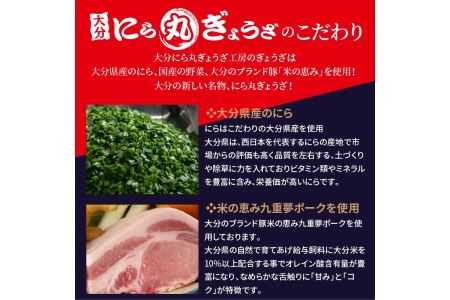 A02016　大分新名物　にら丸・えび丸餃子セット