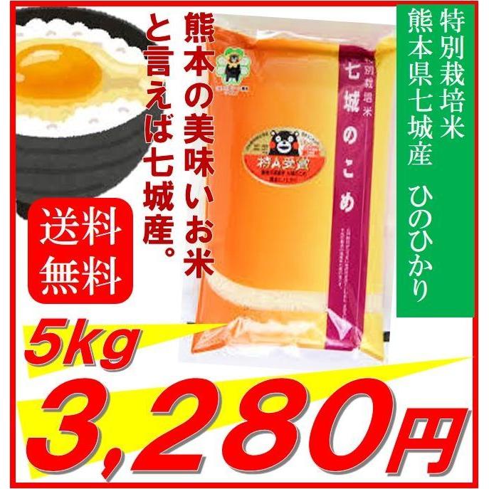 新米　米　お米　５ｋｇ　熊本県産　七城のこめ　ひのひかり　特別栽培米　令和５年産　送料無料