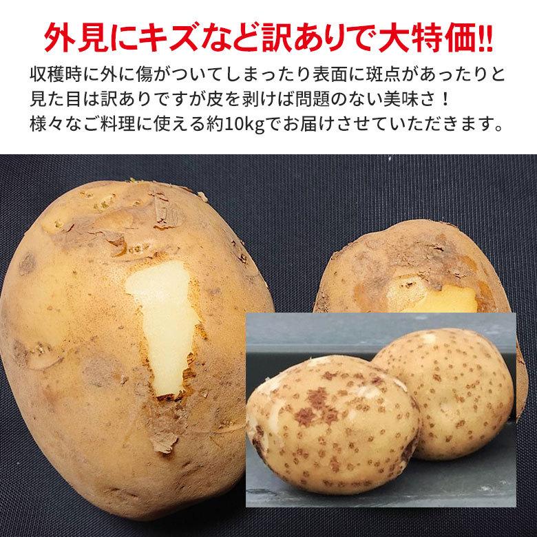 送料無料 訳あり 産地直送 長崎県産 新じゃが じゃがいも 春じゃが 約 10kg 馬鈴薯 ニシユタカ テジマ さんじゅう丸 ながさき黄金 メークイン